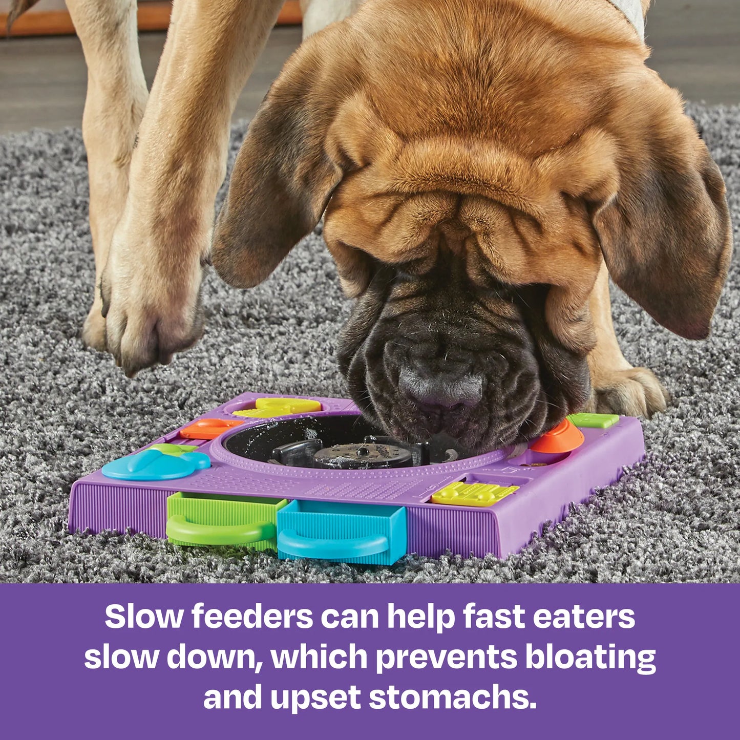BRIGHTKINS DJ DOGGO TREAT PUZZLE