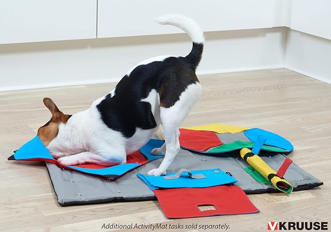 ROCK'N ROLL TASK FOR ACTIVITY MAT LEVEL 3 INTERACTIVE DOG TOY