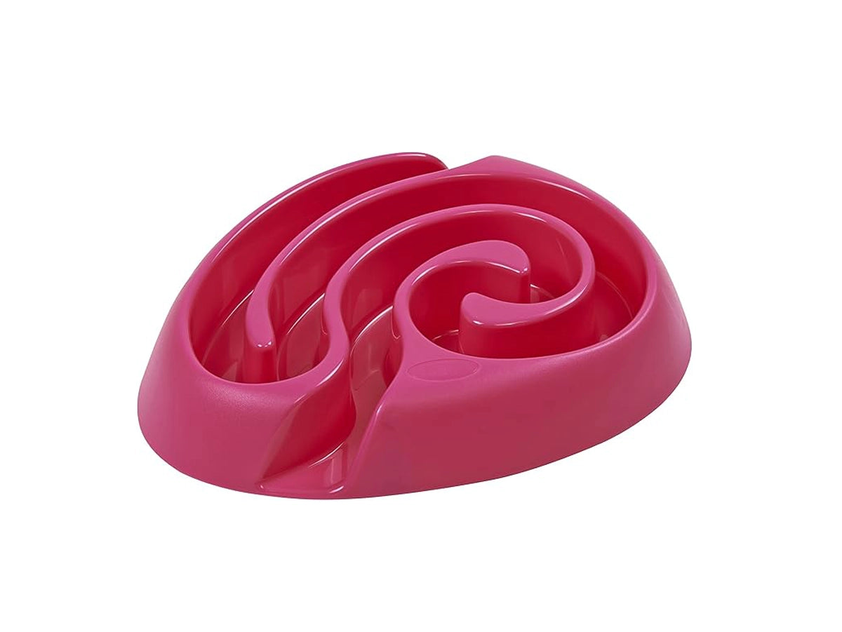 BUSTER DOGMAZE PINK