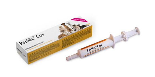 PerNic Cox Syringe Green Lipped Muscle Supplement