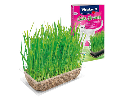 VITAKRAFT CAT GRASS 120g
