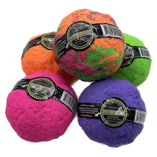 WUNDERBALL DOG TOY